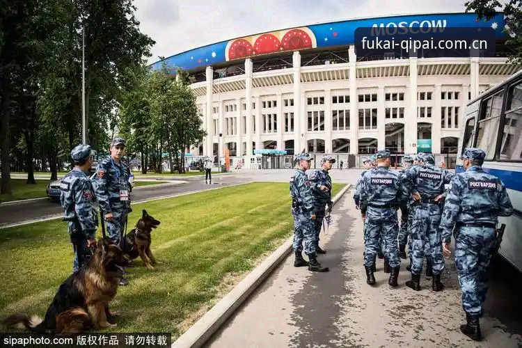 揭秘世界杯安保缩减背后的真相：英国警员赴美仅3人，财神到棋牌带你深度解读